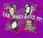 THE MMAD CATZ?!!. Click at the picture to enlarge